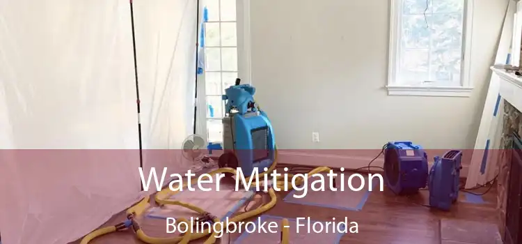 Water Mitigation Bolingbroke - Florida