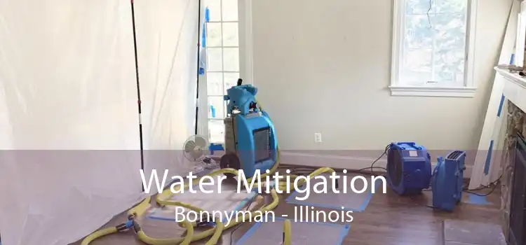 Water Mitigation Bonnyman - Illinois