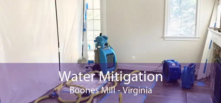 Water Mitigation Boones Mill - Virginia