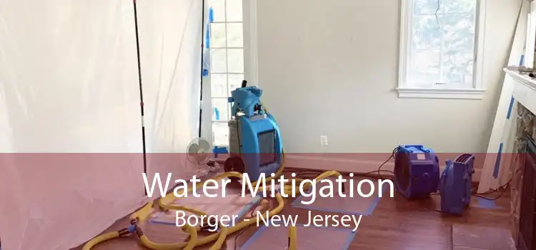 Water Mitigation Borger - New Jersey