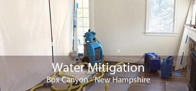 Water Mitigation Box Canyon - New Hampshire