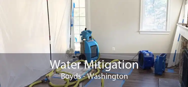 Water Mitigation Boyds - Washington