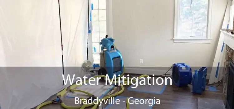 Water Mitigation Braddyville - Georgia