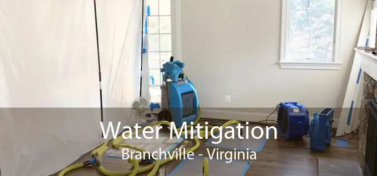 Water Mitigation Branchville - Virginia