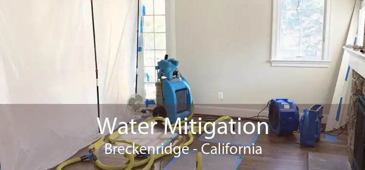 Water Mitigation Breckenridge - California