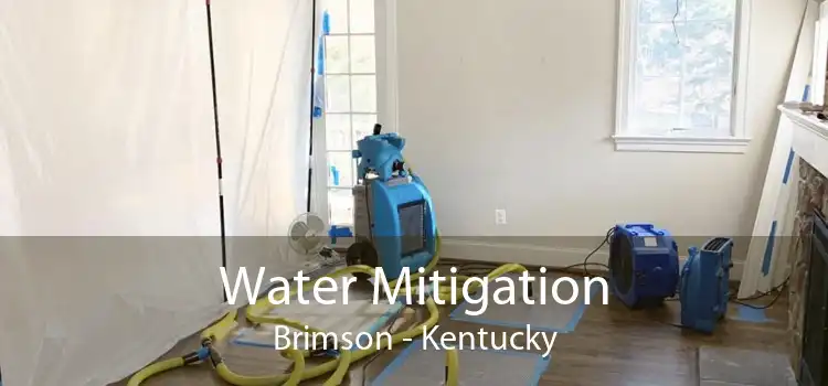Water Mitigation Brimson - Kentucky