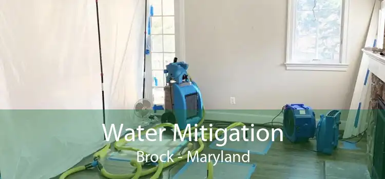Water Mitigation Brock - Maryland