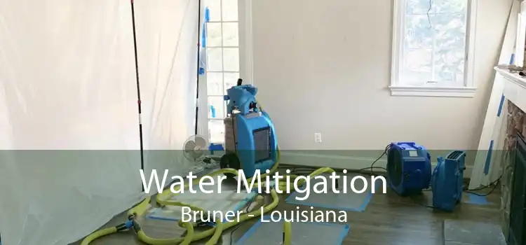 Water Mitigation Bruner - Louisiana