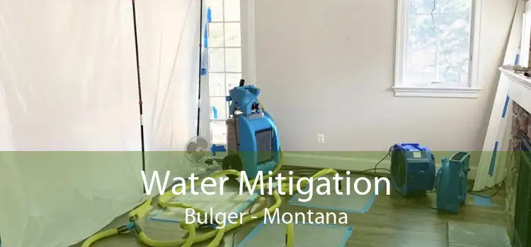 Water Mitigation Bulger - Montana