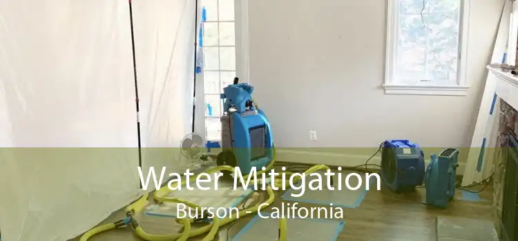 Water Mitigation Burson - California