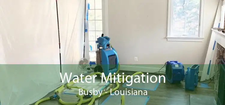 Water Mitigation Busby - Louisiana