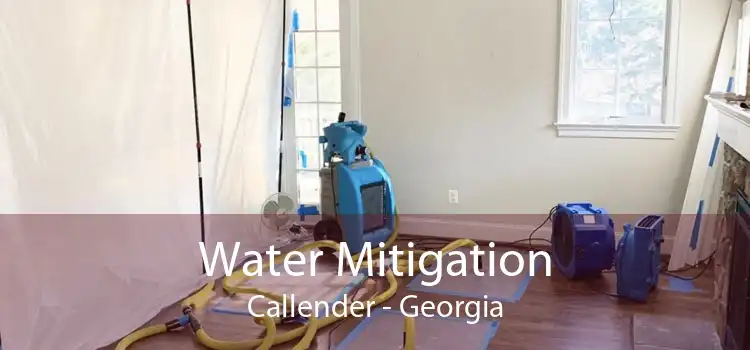 Water Mitigation Callender - Georgia