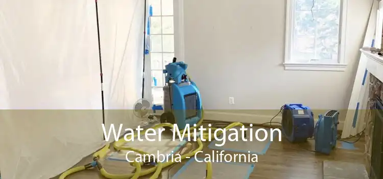 Water Mitigation Cambria - California