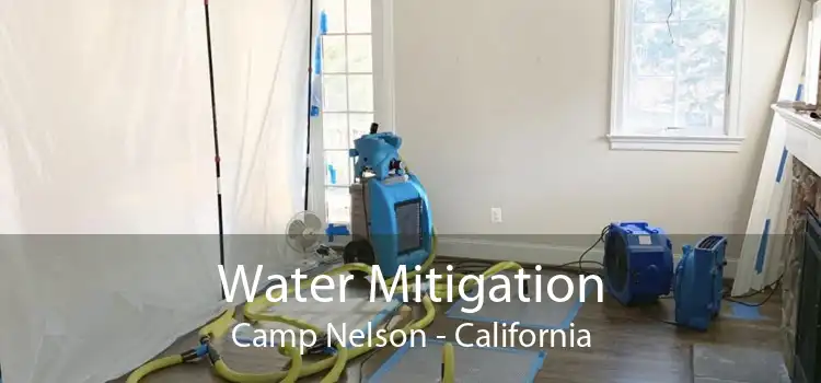 Water Mitigation Camp Nelson - California