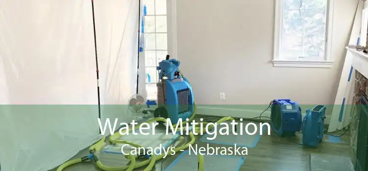Water Mitigation Canadys - Nebraska