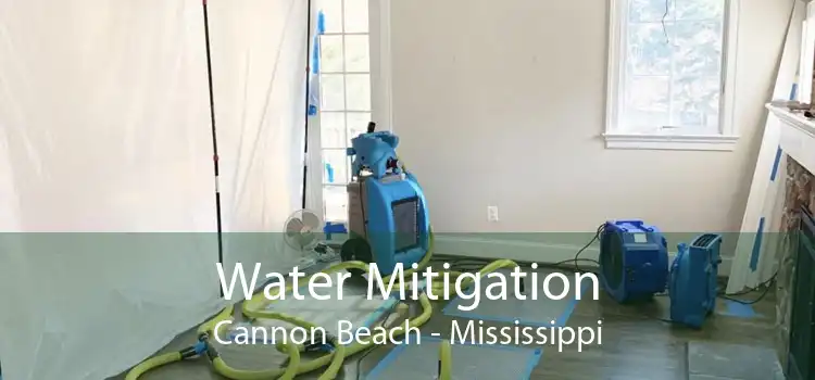Water Mitigation Cannon Beach - Mississippi