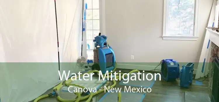 Water Mitigation Canova - New Mexico