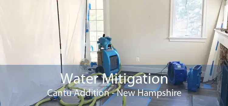 Water Mitigation Cantu Addition - New Hampshire