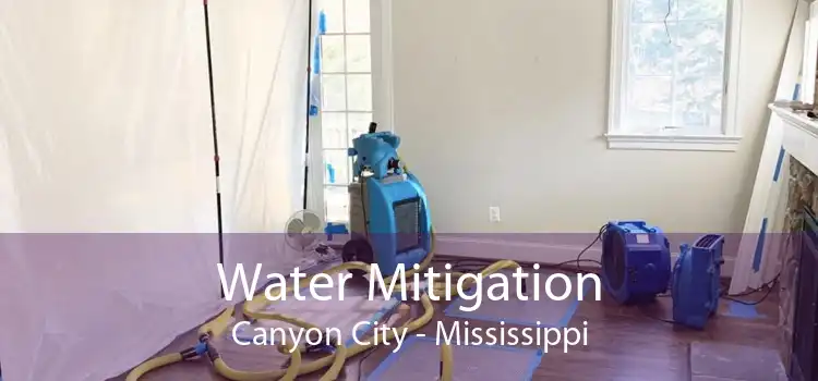 Water Mitigation Canyon City - Mississippi