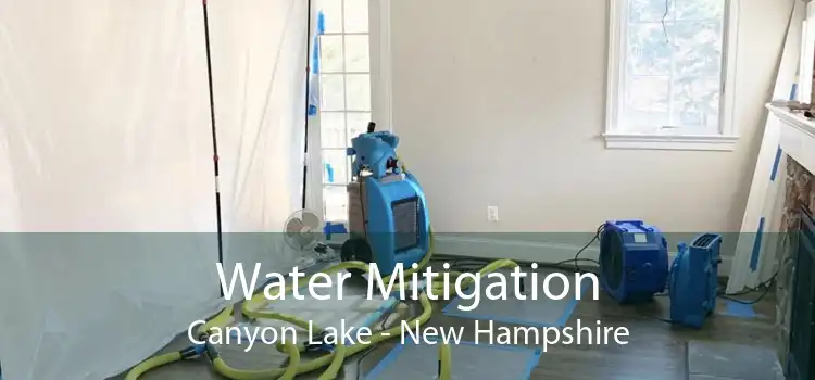 Water Mitigation Canyon Lake - New Hampshire