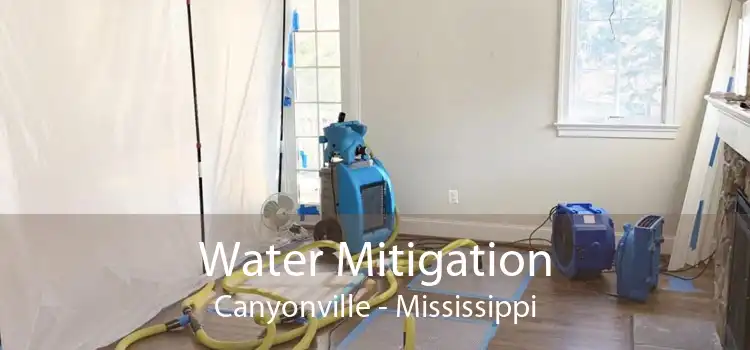 Water Mitigation Canyonville - Mississippi