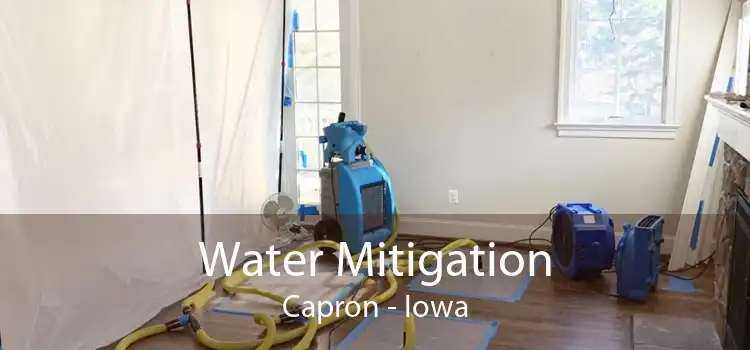 Water Mitigation Capron - Iowa