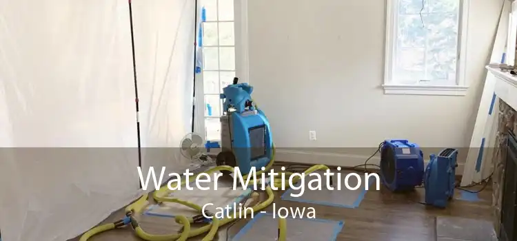 Water Mitigation Catlin - Iowa