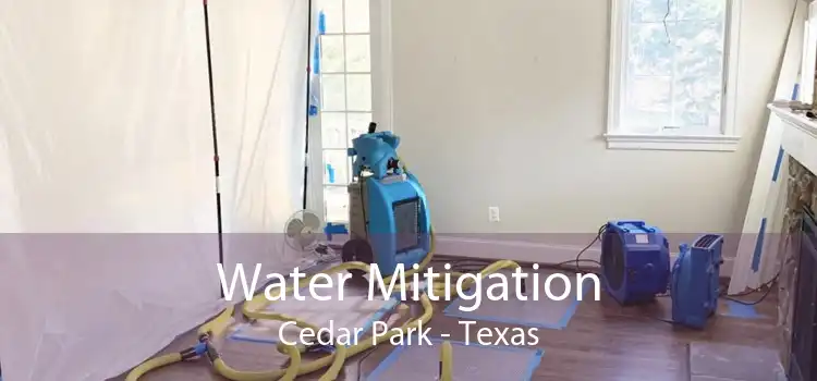 Water Mitigation Cedar Park - Texas