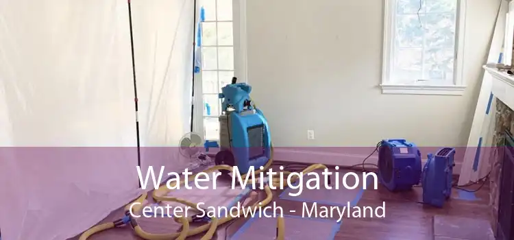 Water Mitigation Center Sandwich - Maryland