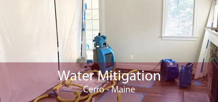 Water Mitigation Cerro - Maine
