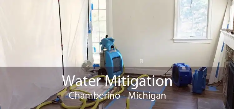 Water Mitigation Chamberino - Michigan
