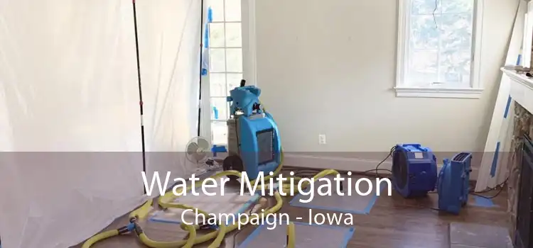 Water Mitigation Champaign - Iowa