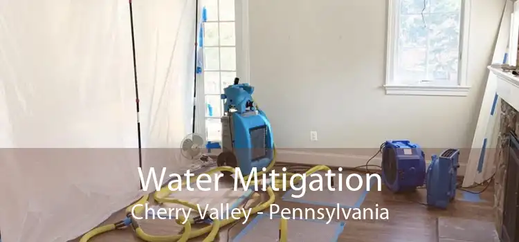 Water Mitigation Cherry Valley - Pennsylvania