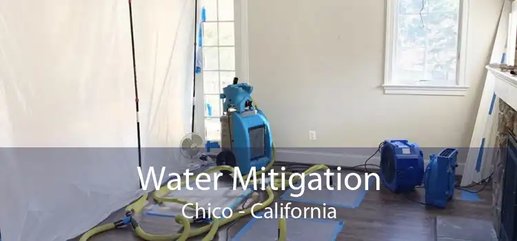 Water Mitigation Chico - California