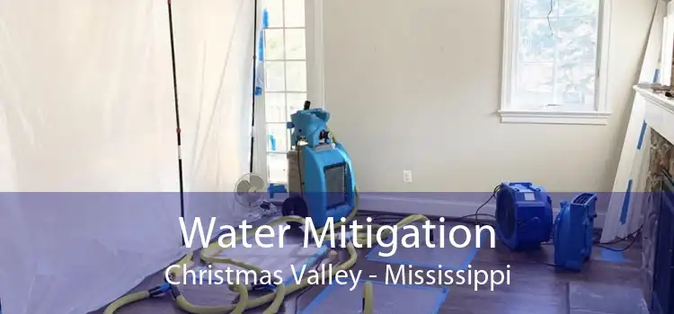Water Mitigation Christmas Valley - Mississippi