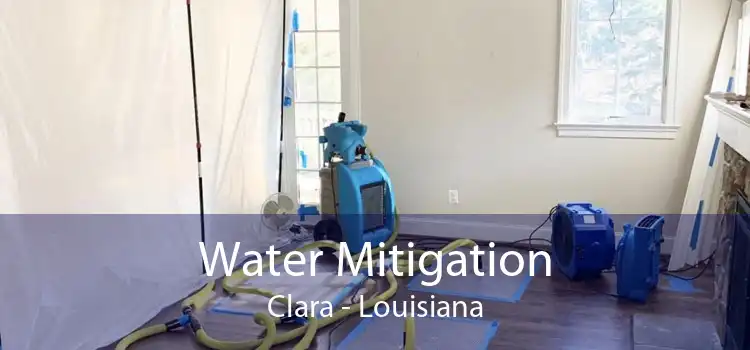 Water Mitigation Clara - Louisiana