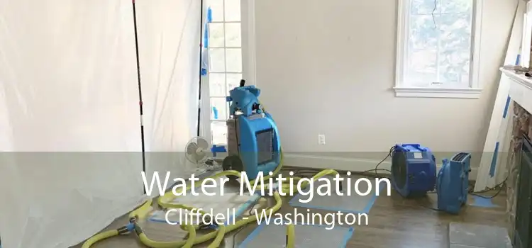 Water Mitigation Cliffdell - Washington