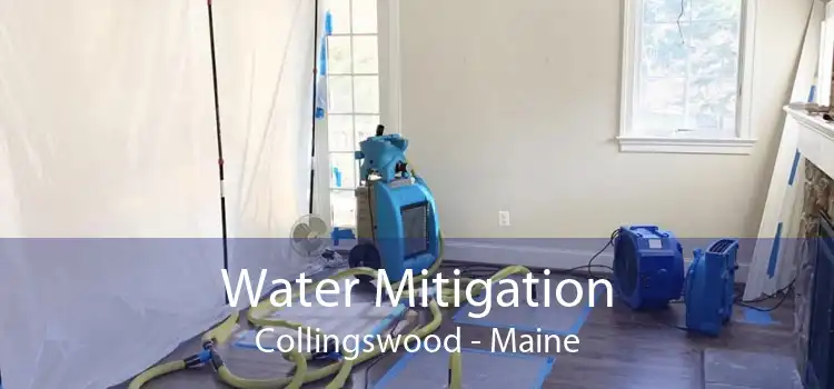 Water Mitigation Collingswood - Maine