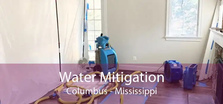 Water Mitigation Columbus - Mississippi