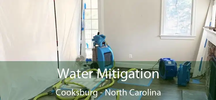 Water Mitigation Cooksburg - North Carolina