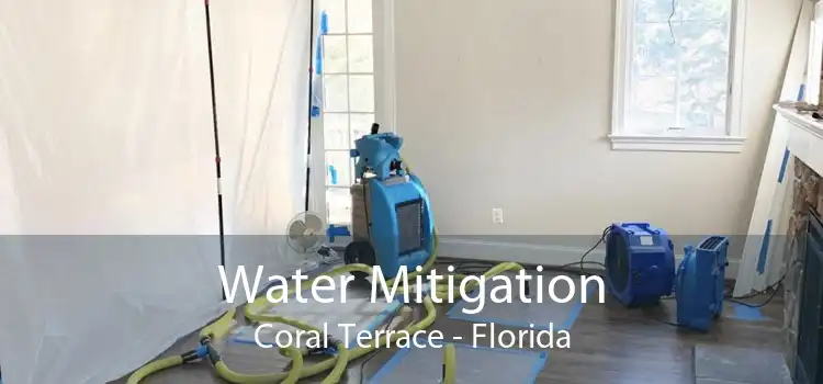 Water Mitigation Coral Terrace - Florida
