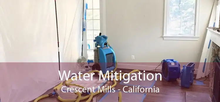 Water Mitigation Crescent Mills - California