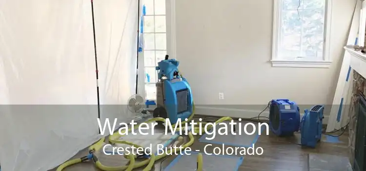 Water Mitigation Crested Butte - Colorado