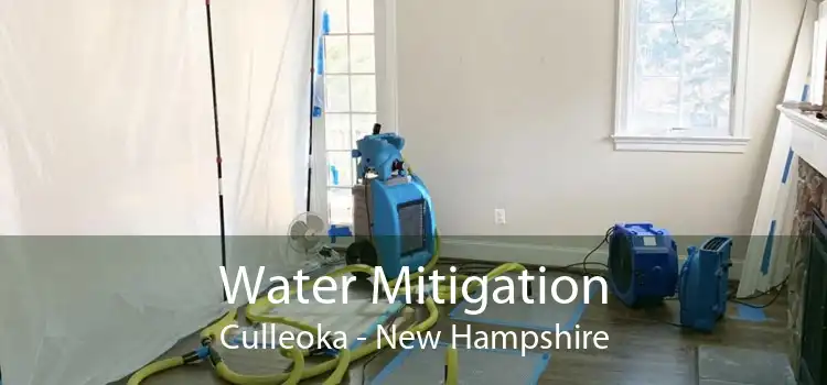 Water Mitigation Culleoka - New Hampshire