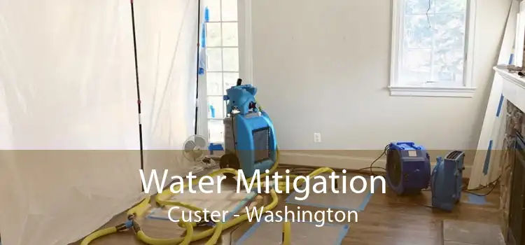 Water Mitigation Custer - Washington