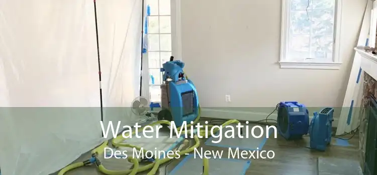 Water Mitigation Des Moines - New Mexico
