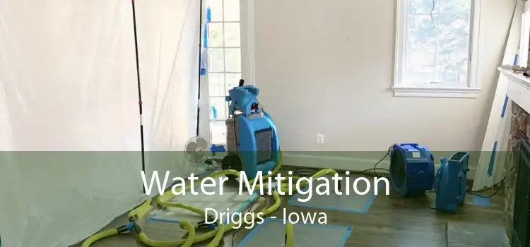 Water Mitigation Driggs - Iowa
