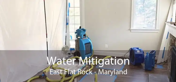 Water Mitigation East Flat Rock - Maryland
