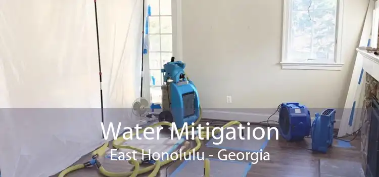 Water Mitigation East Honolulu - Georgia