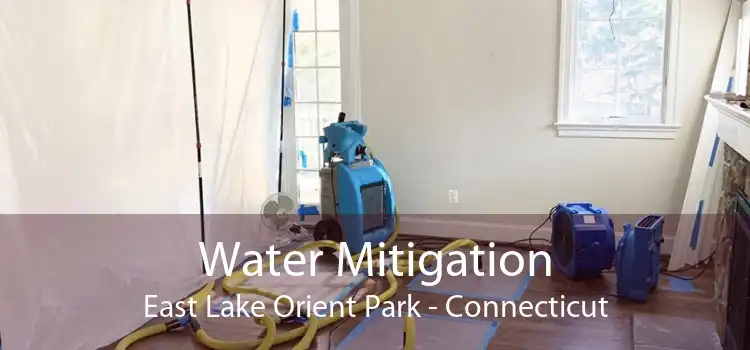 Water Mitigation East Lake Orient Park - Connecticut